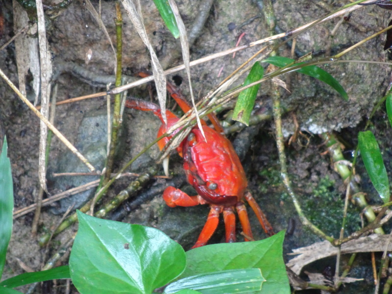 c0108460_16172198.jpg