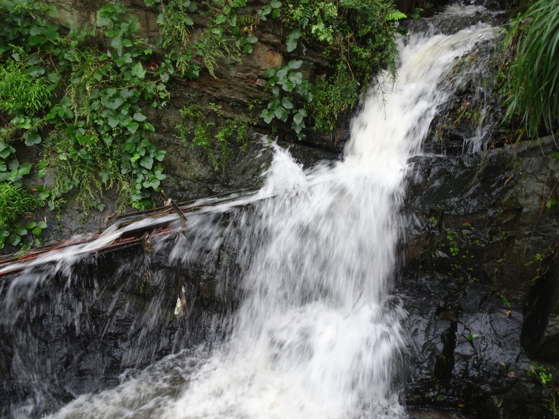 c0108460_16243576.jpg