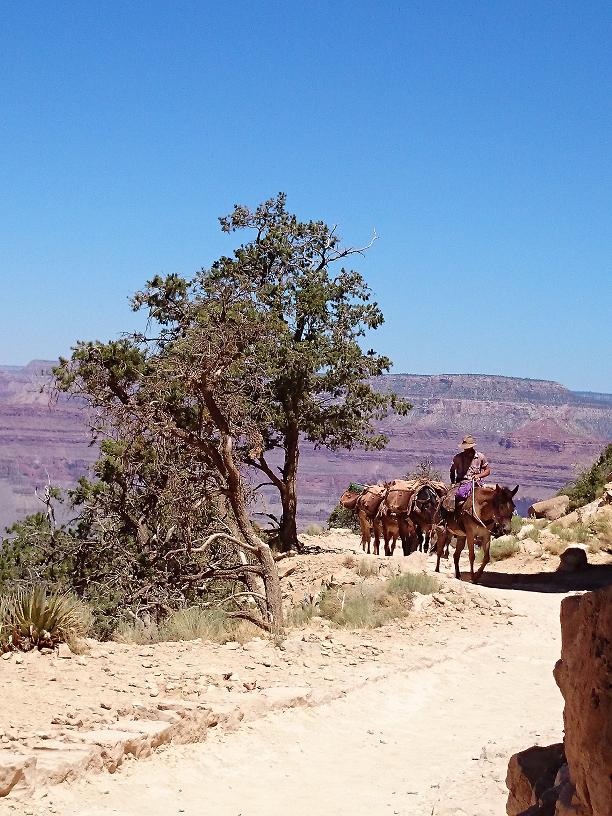 Ⅸ　Ｇｒａｎｄ　Ｃａｎｙｏｎ_c0260463_12482131.jpg