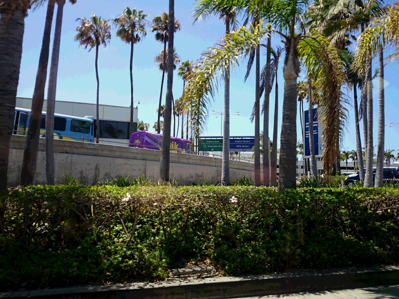 c0260463_1711376.jpg