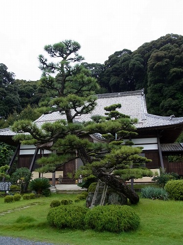 大慈山　智勝院_f0106664_19534790.jpg