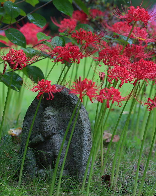 　雨に降られた、川場の吉祥寺_c0305565_17524330.jpg