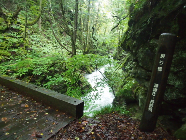 c0321967_12261693.jpeg
