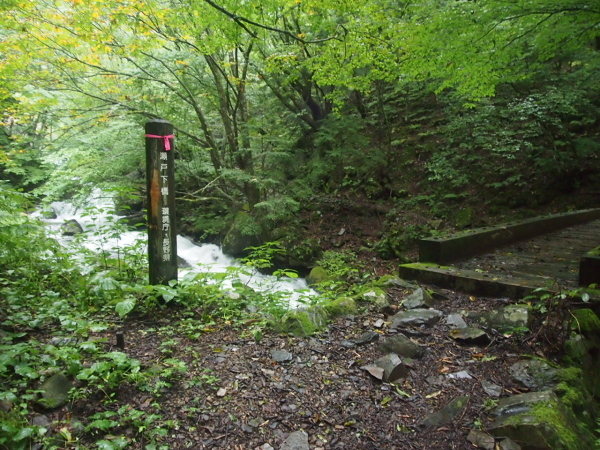 c0321967_18592359.jpeg
