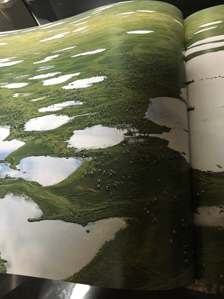 星野道夫 の旅 特別展_f0363168_06181709.jpeg