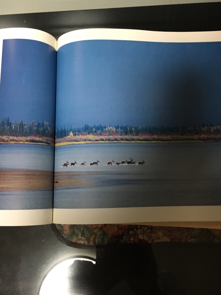 星野道夫 の旅 特別展_f0363168_06185808.jpeg