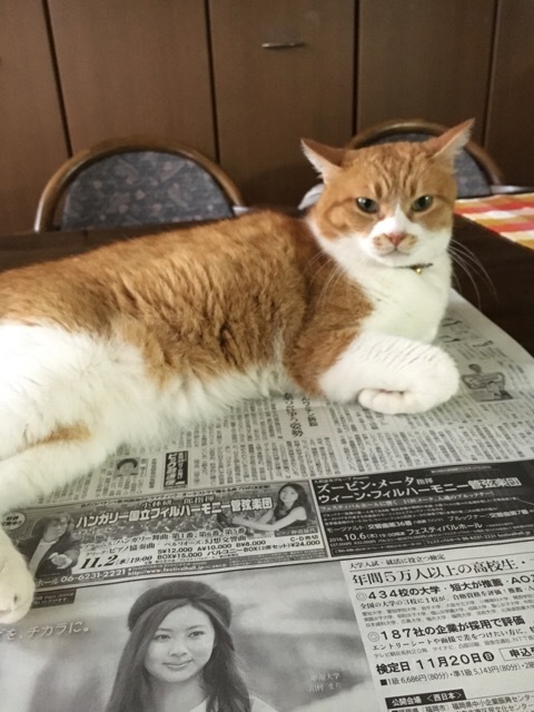 星野道夫 の旅 特別展_f0363168_07581912.jpeg