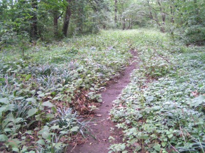 c0112172_2421564.jpg