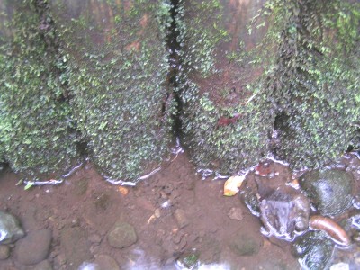 c0112172_242661.jpg