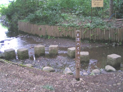 c0112172_242948.jpg