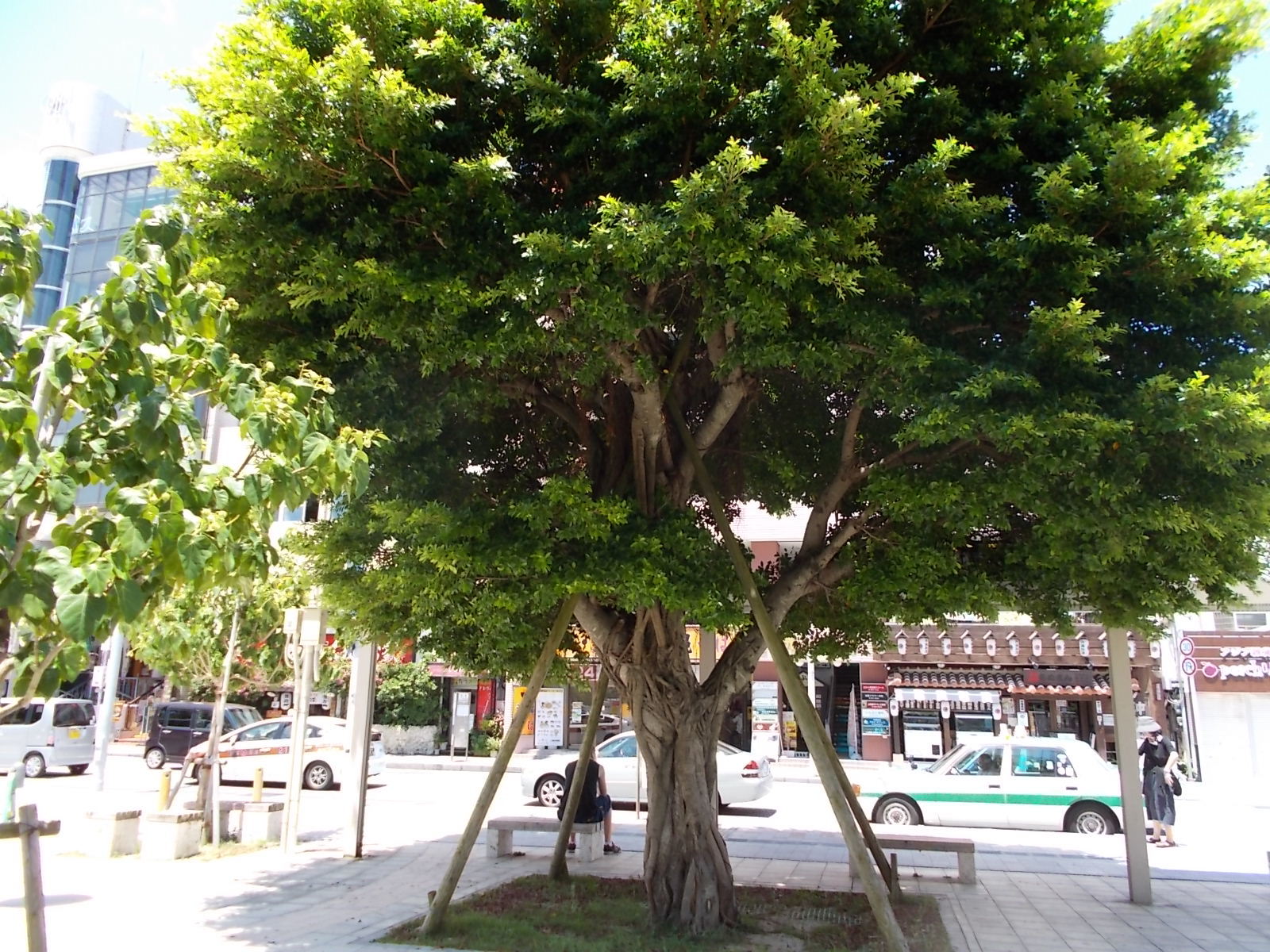 b0208577_23331289.jpg
