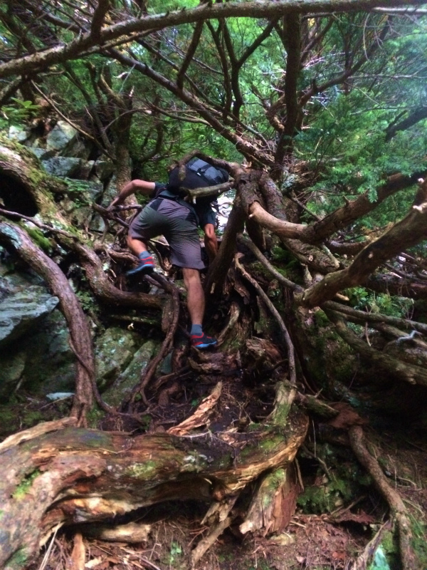 剱岳源次郎尾根 Fastpacking+Alpine Scrambling at Mt.Tsurugi Day.3 2016/09/01-03_b0220886_2193039.jpg