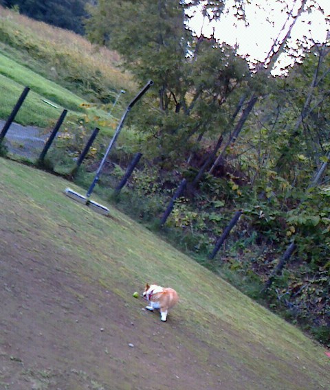 f0200795_1217183.jpg