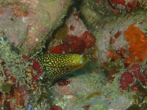 e0115199_14065604.jpg