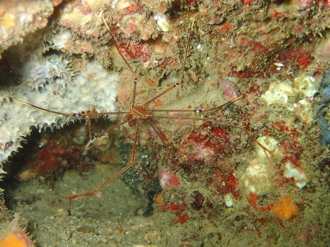 e0115199_14084080.jpg