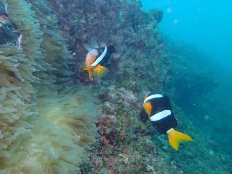 e0115199_14091409.jpg