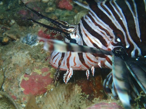 e0115199_14092930.jpg