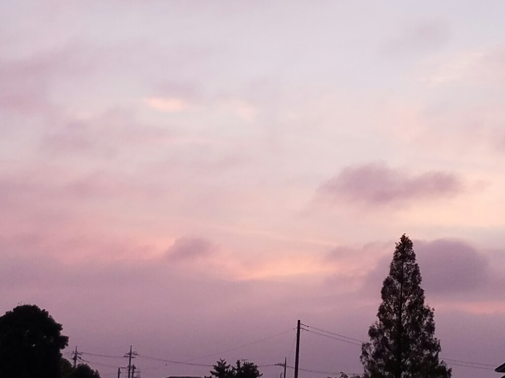 a0333000_19443134.jpg