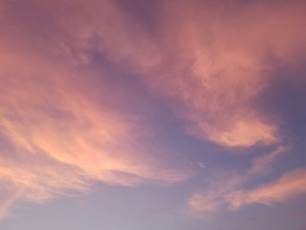 a0333000_19443510.jpg