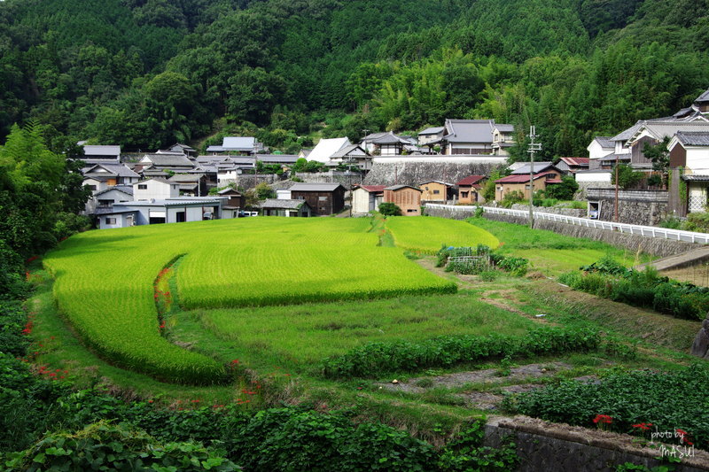 d0342307_02405509.jpg