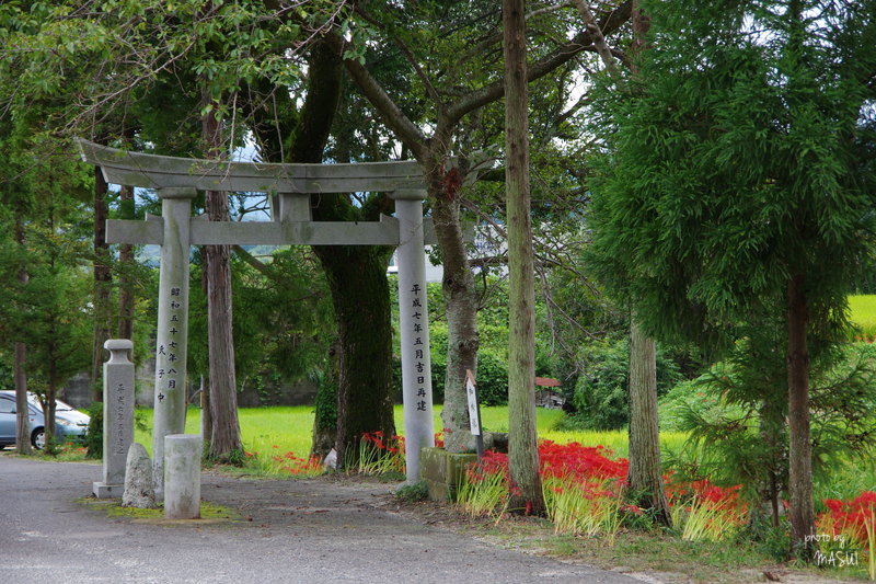 彼岸花大博覧会　3/4_d0342307_02470225.jpg