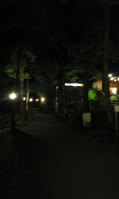 f0069907_2221207.jpg