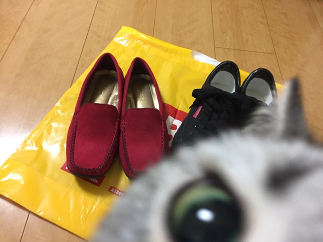 ✔ 新しい靴を買ったんだ〜〜 ヾ(๑╹◡╹)ﾉ\"♪_c0004211_9394490.jpg