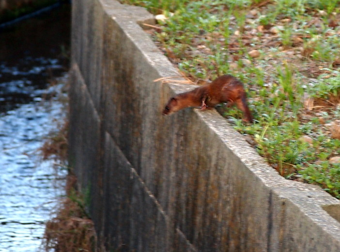 d0048812_10310833.jpg