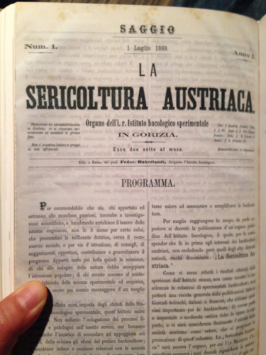 c0167813_02563137.jpg