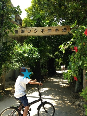 b0121019_19310777.png
