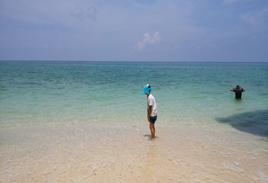 b0121019_20034936.png