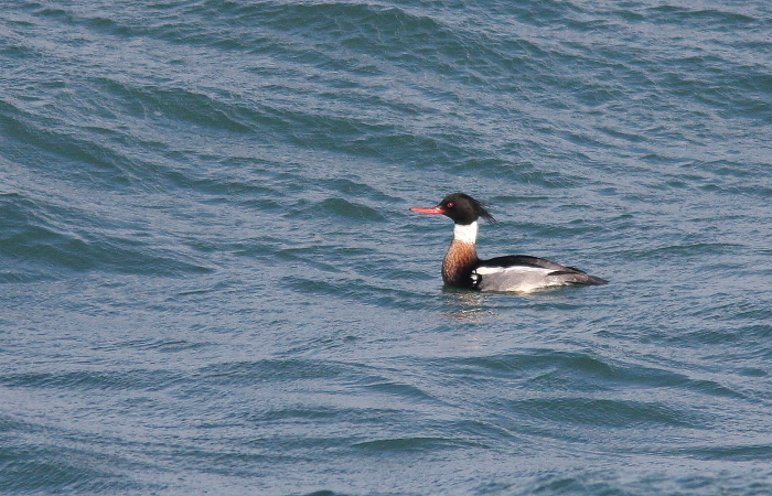 f0364220_14110876.jpg