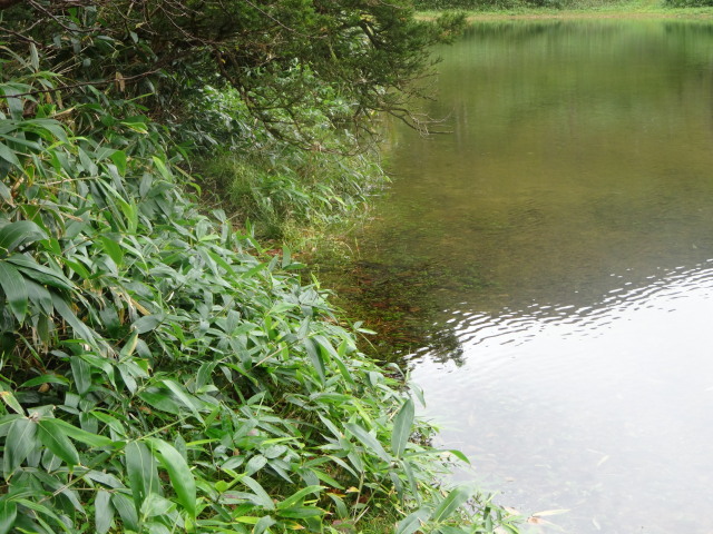 c0141223_19005644.jpg
