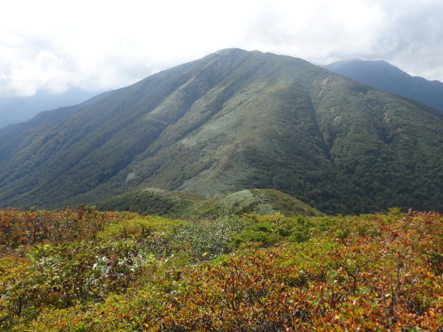 c0141223_19361404.jpg