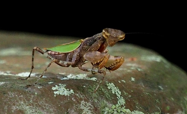 c0369423_23505903.jpg