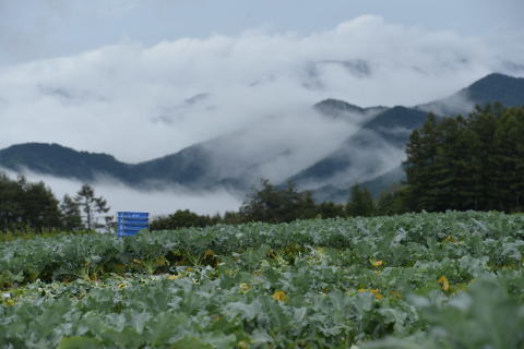 雨の高原ロッジ_e0335926_15384123.jpg