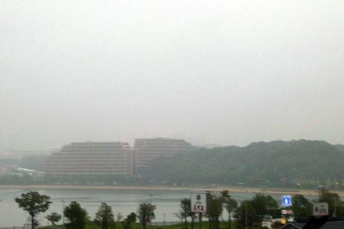 b0063436_83332.jpg