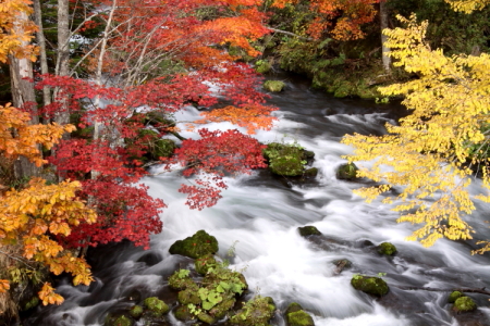 今年の紅葉はどうかなぁ 9月30日_f0113639_14184071.jpg