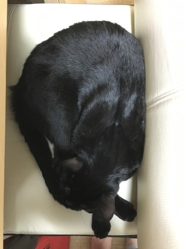 b0341440_13512759.jpeg