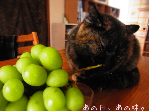 a0305046_10041983.jpg