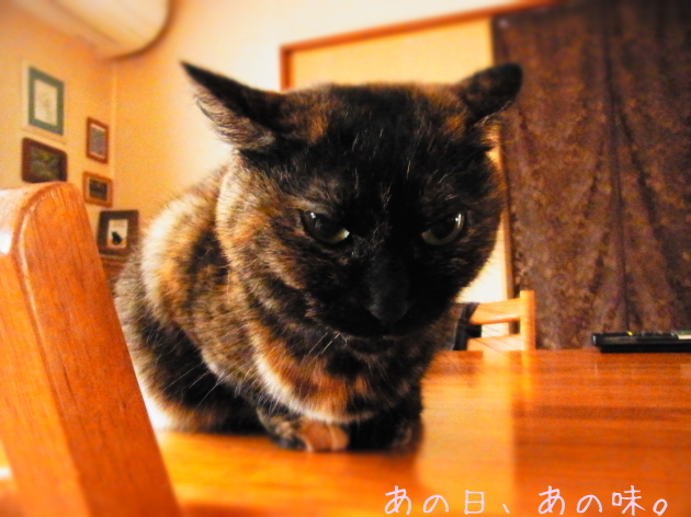 a0305046_10044547.jpg