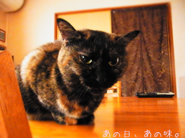 a0305046_10050200.jpg