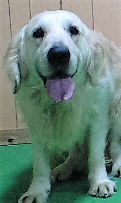 a0264649_21493639.jpeg
