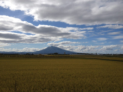b0111551_20125044.gif