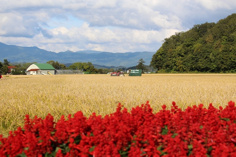 9月24日 北桧山 秋の風景 そよ風のように