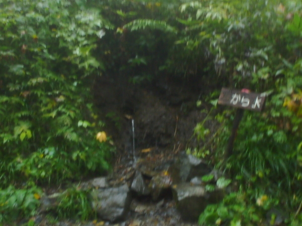 c0321967_07085072.jpeg