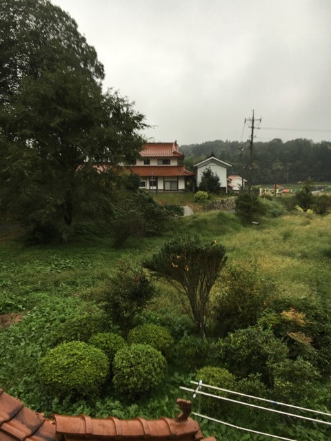 f0363168_16484740.jpeg