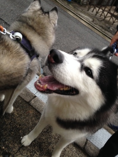 f0315081_23501101.jpeg