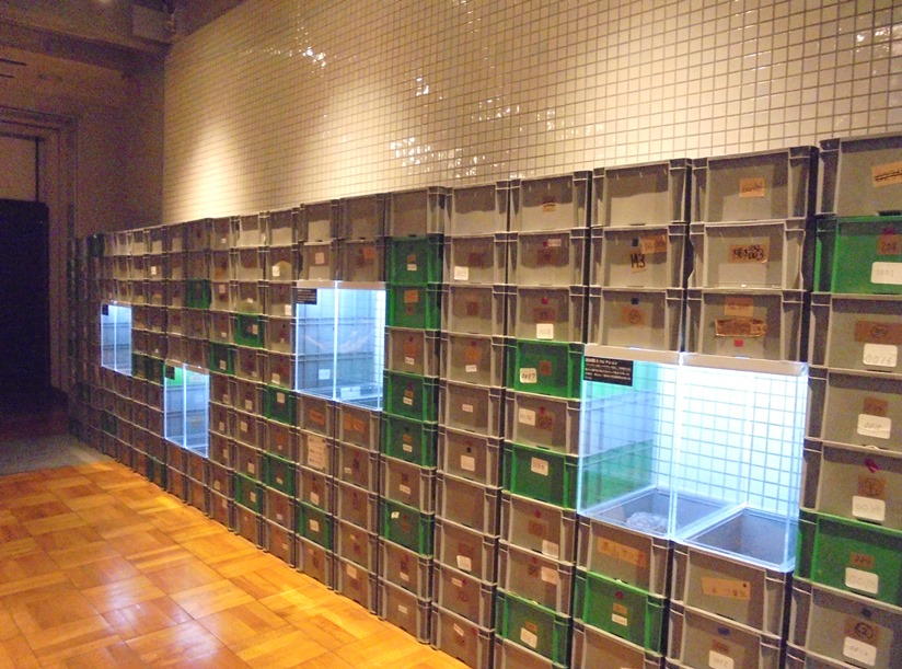 博物館三昧旅行⑦～東京大学総合研究博物館(後編) : my earth my