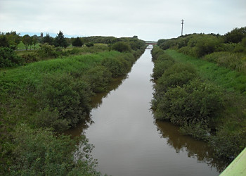 f0078286_1446472.jpg